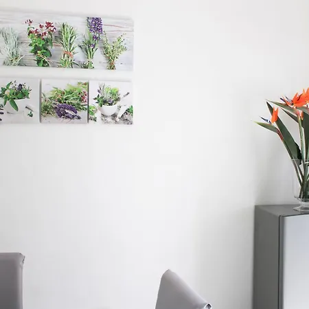 Apartman La Casa Sul Corso